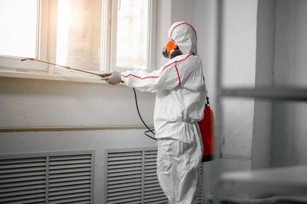 Professional mold remediation services in Wrightstown, WI